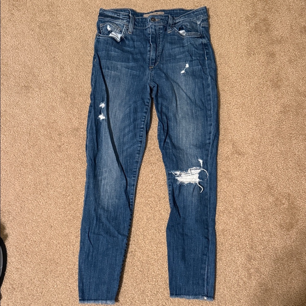 Joe's Jeans Women's Distressed Skinny Jeans - Blue